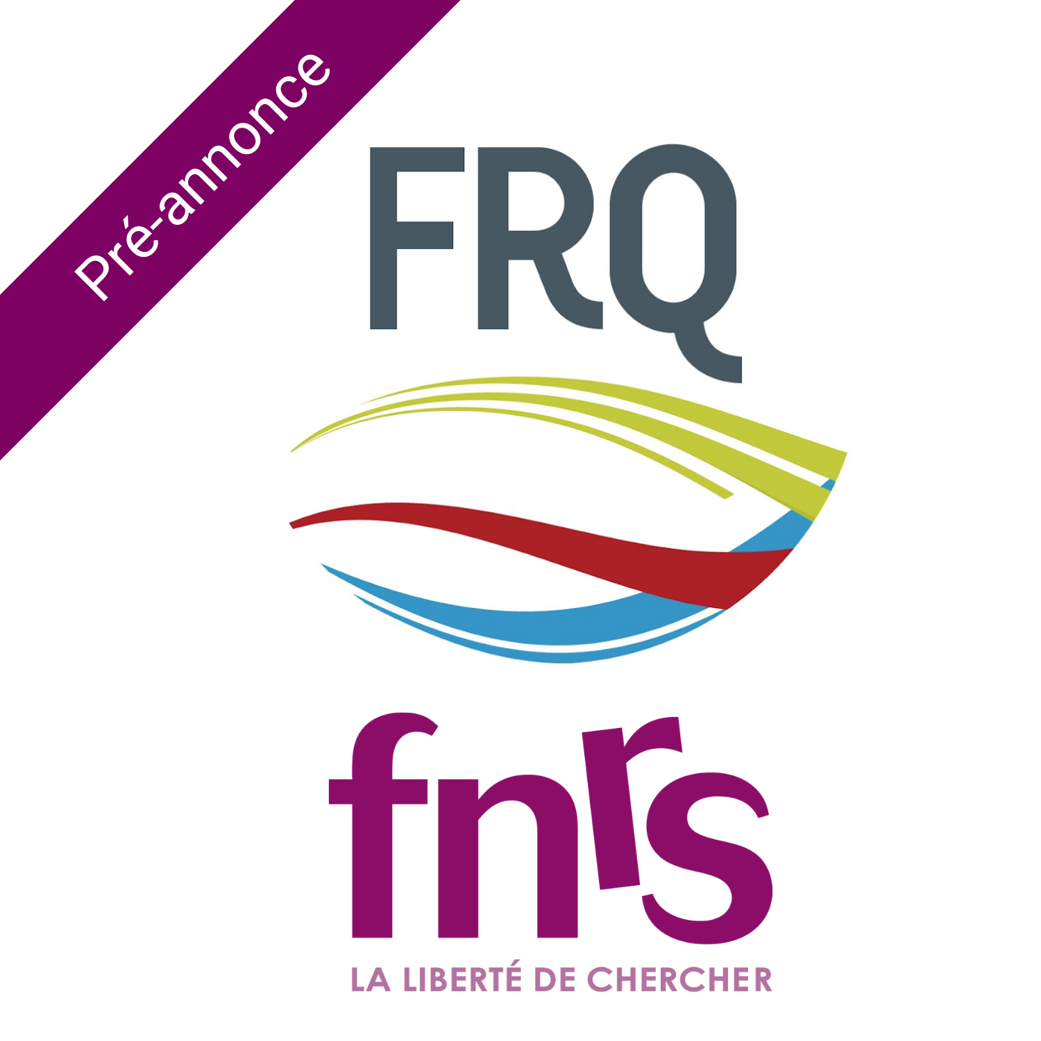 FRQ2024-2