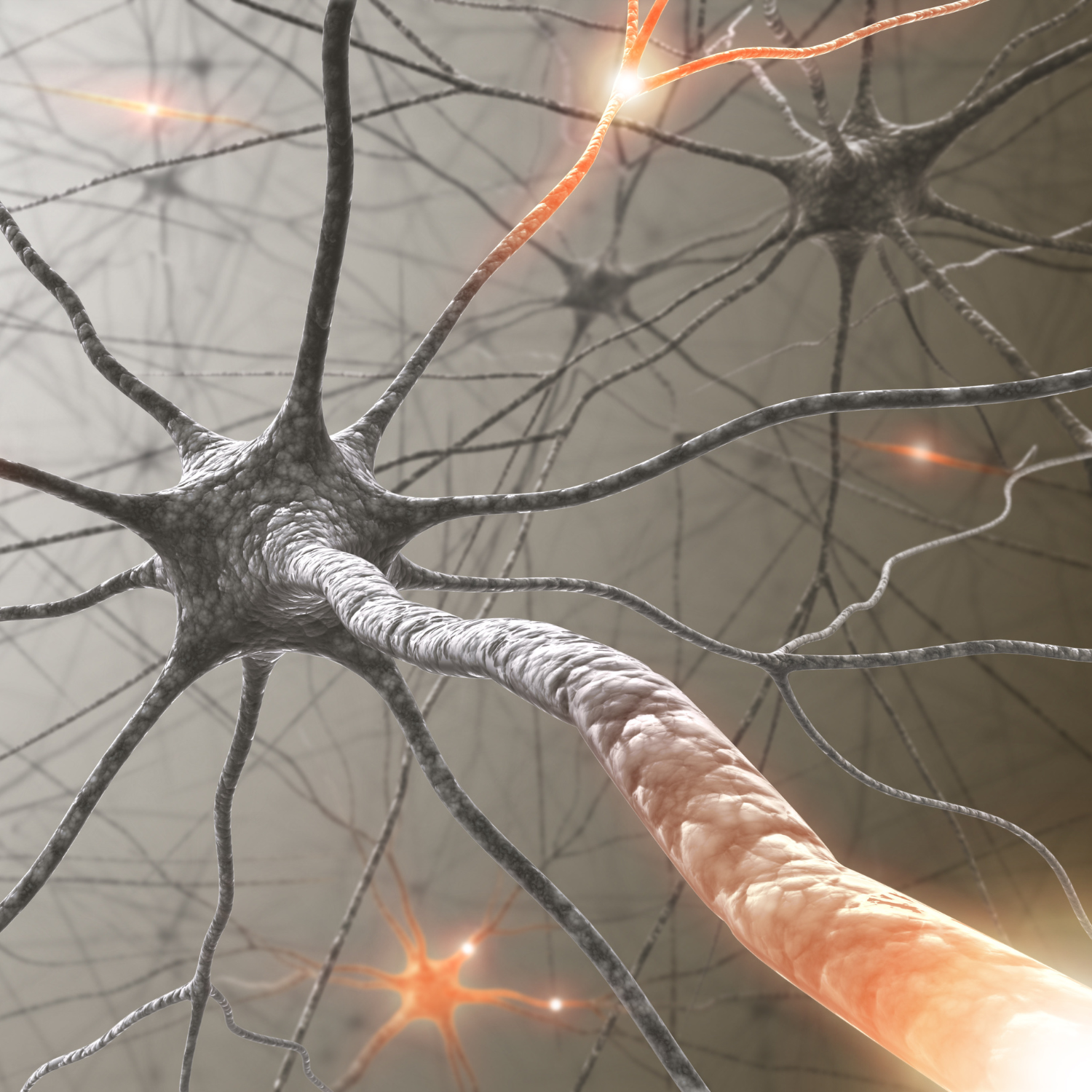 Alban-neurones
