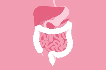 Des nanocapsules lipidiques pour la sécrétion d'hormones intestinales