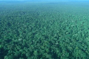 Préserver la biodiversité? N’oublions pas la diversité génétique!