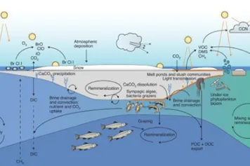 PUBLICATIONS SCIENTIFIQUE | ❄️☀️ La banquise arctique se transforme rapidement