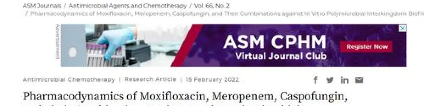 ? Des combinaisons d’antibiotiques contre les biofilms polymicrobiens 