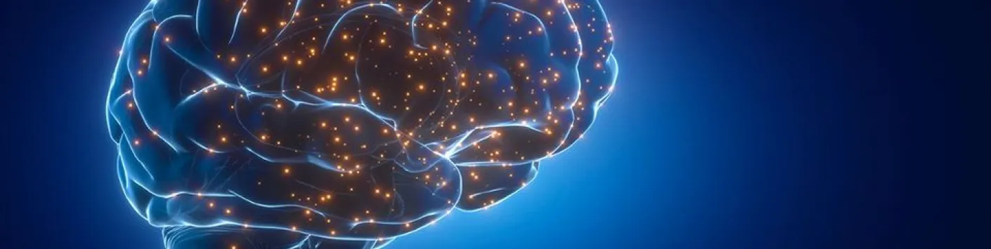 Les voyages dans l'espace influencent le fonctionnement du cerveau