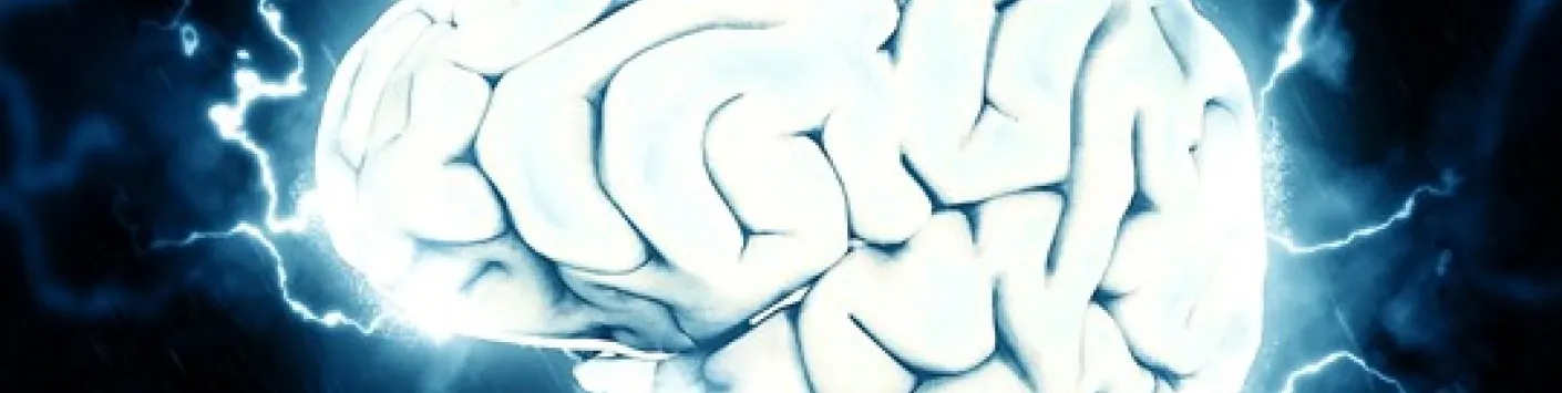 Le cerveau ne laisse pas de place au hasard