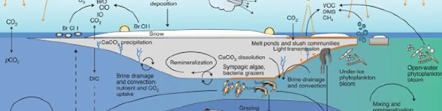 PUBLICATIONS SCIENTIFIQUE | ❄️☀️ La banquise arctique se transforme rapidement