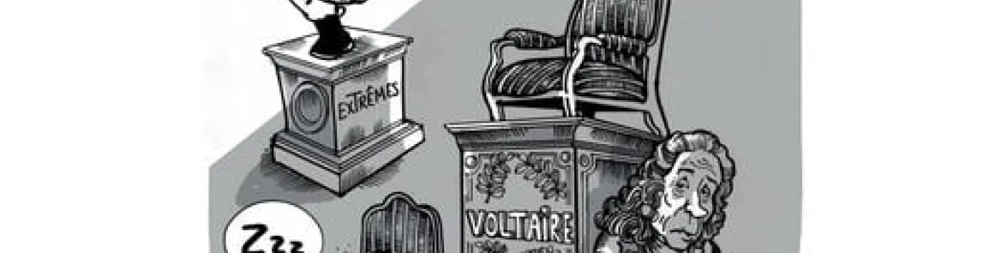L'Académie royale des Sciences, des Lettres et des Beaux-Arts de Belgique organise, les 8 et 9 novembre 2021, un colloque international intitulé « Que reste-t-il aujourd'hui de l'ironie voltairienne ? » en collaboration avec ULB - Université libre de Brux