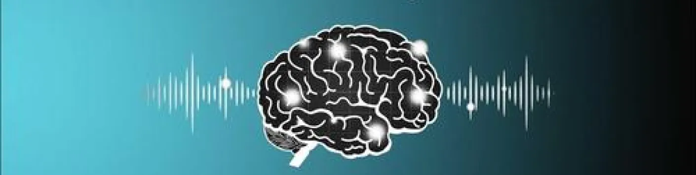 The puzzle of human consciousness: An Interview with Steven Laureys
